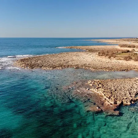 Biancolino * 나르도